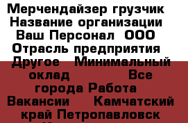 Мерчендайзер-грузчик › Название организации ­ Ваш Персонал, ООО › Отрасль предприятия ­ Другое › Минимальный оклад ­ 40 000 - Все города Работа » Вакансии   . Камчатский край,Петропавловск-Камчатский г.